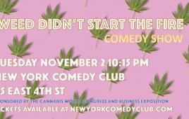 Weed Didn't Start the Fire ft. Maddy Smith, Brendan Sagalow, Mike Cannon